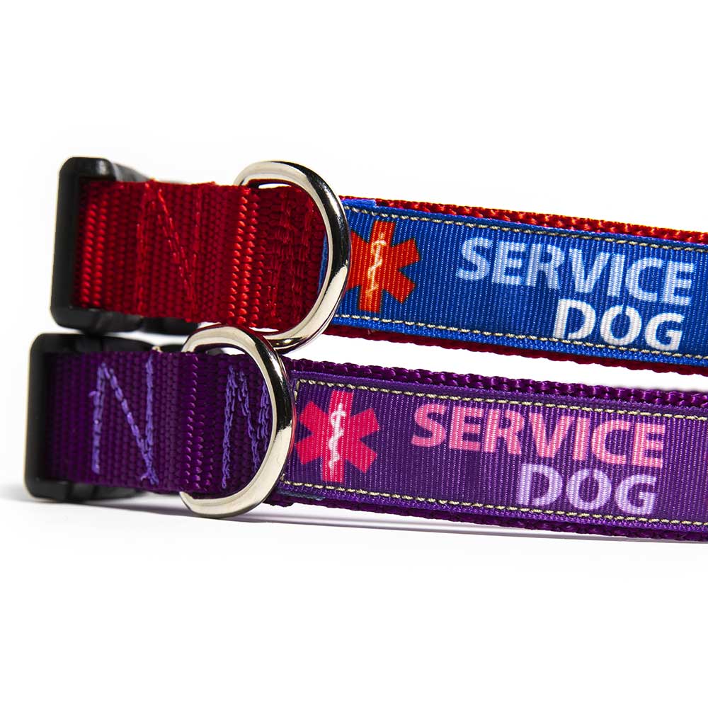 Matching dog store collar and lanyard